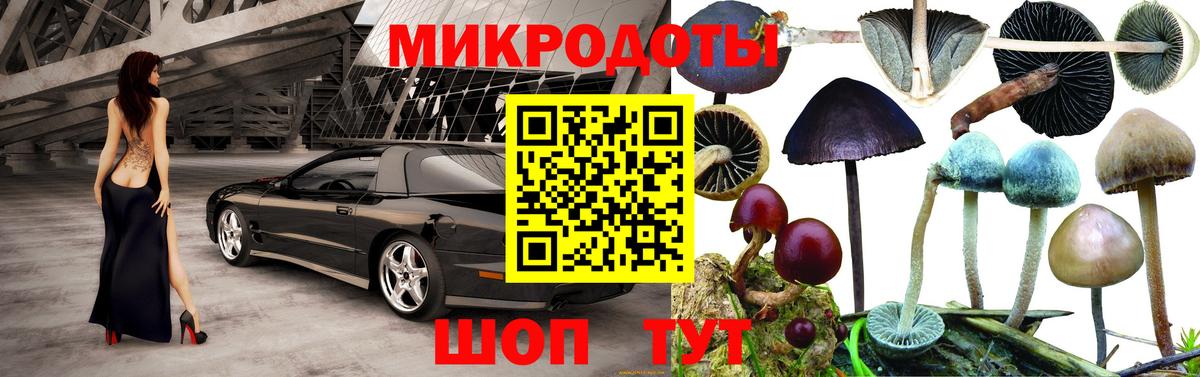 Галлюциногенные грибы мухоморы Среднеуральск