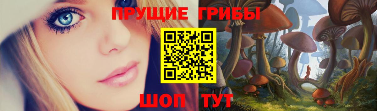 Галлюциногенные грибы GOLDEN TEACHER  Псилоцибиновые грибы GOLDEN TEACHER  Среднеуральск  Вход с VPN 